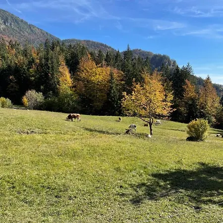 Hisa Pr Valter Holiday home