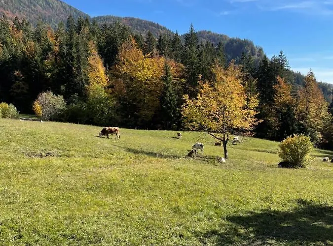 Hisa Pr Valter Holiday home